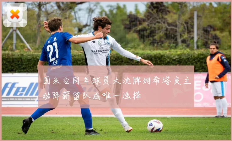 国米合同年球员大洗牌姆希塔良主动降薪留队成唯一选择